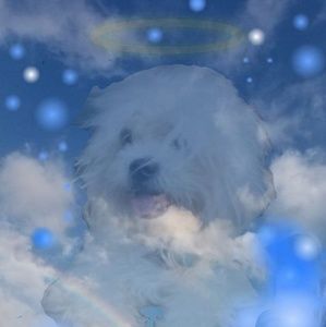 Meet your Posher, Ricky